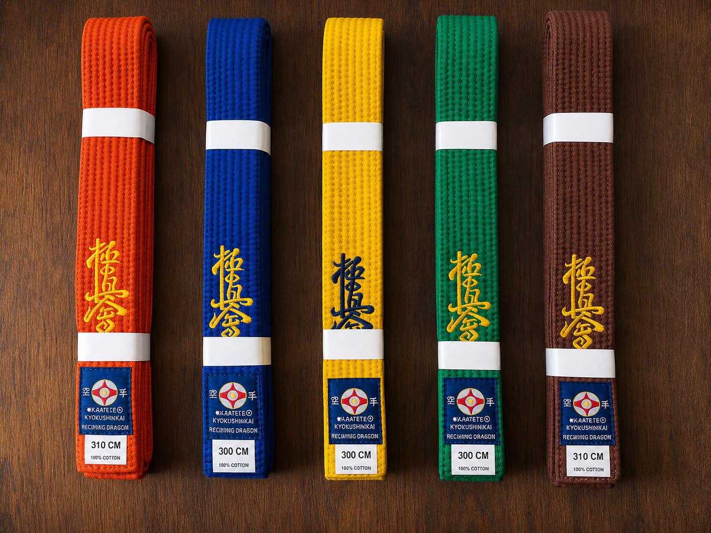 Reclining Dragon Kyokushin Rank Belt – Embroidered Karate Belt